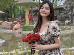 -灵玲国际马戏城