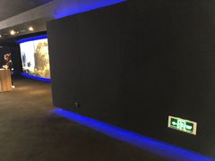 -万达影城(闵行颛桥万达广场杜比影院店)