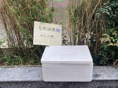 -六广门毛阿姨糯米饭