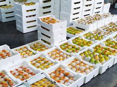 -南京众彩农副产品配送有限公司