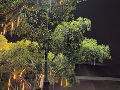 -广州长隆国际大马戏
