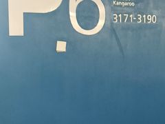 -虹桥综合交通枢纽-P6停车库