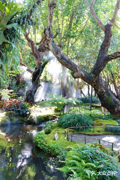 Chom Cafe and Restaurant图片