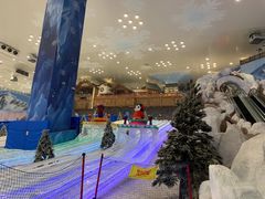 -湘江欢乐城欢乐雪域