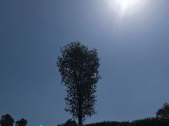 -午潮山国家森林公园