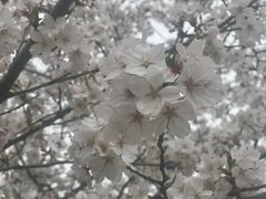 -杭州城北体育公园