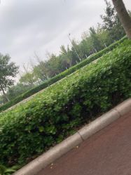 -HEYAN长风荷妍专业脱毛美肤
