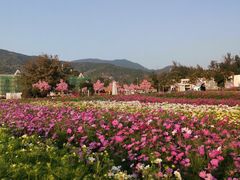 -玫瑰海岸文化旅游度假区