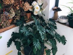 大堂-唐咖精品咖啡(大理古城手冲店)