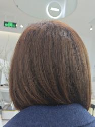 -YESIDO椰岛造型