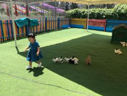 -萌宠亲子动物乐园(槐房万达店)