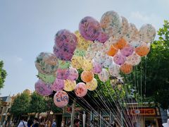 -上海迪士尼度假区