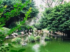 -九龙公园