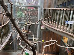 -正佳雨林生态植物园