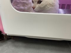 -瑞鹏宠物医院·骨科·猫科·内科(第一中心)