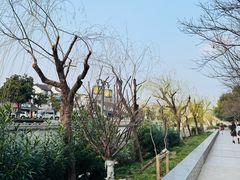 -三林塘老街