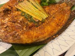 -紫滇源云南生态菜(丹凤街店)