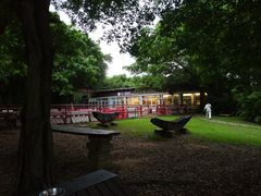-马咖啡macup·意式轻餐·观景餐厅