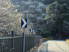 -广州市流溪河国家森林公园