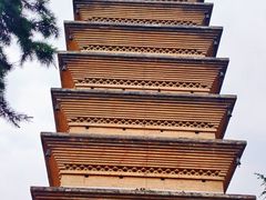-洛阳白马寺