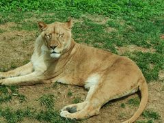 -北京野生动物园