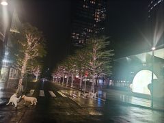 -深圳湾万象城
