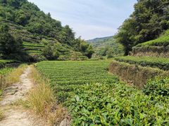 -十九峰景区-倒脱靴