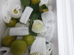 -呼吸森林·生态农庄农家乐私房菜