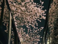 -上海南浦大桥长途旅游客运站