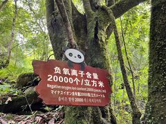 -西岭雪山大飞水景区