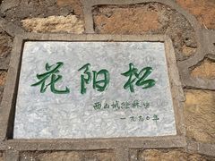 -北京西山国家森林公园
