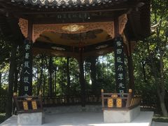 -梅园