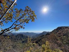 -大岭沟猕猴桃谷风景区