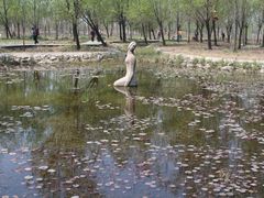-微山湖红荷湿地景区