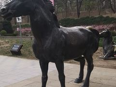 -元大都城垣遗址公园