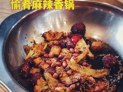 -愉肴麻辣香锅(中山路店)