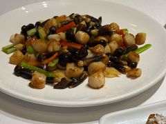 鸡枞菌鲜贝-天福苑(崇宁路店)