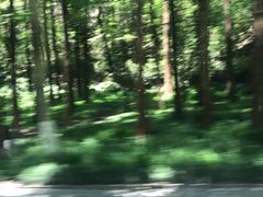 -宋宴(虎跑店)