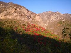 -玉渡山自然风景区
