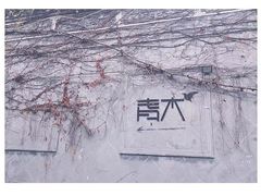 -日出青木·杭帮菜名店