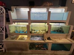 -质烤烤物·活烤海鲜(质烤总店)