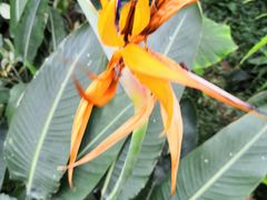 -北京植物园-展览温室