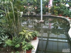 IMG_0425-龙凤山庄(永定镇店)