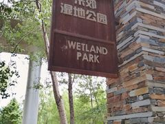 -东郊湿地公园