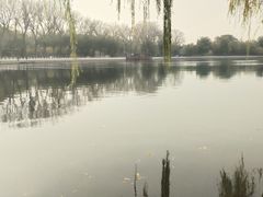 -后海公园