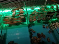 -JUKEBOX玖部音乐餐厅(华侨城店)