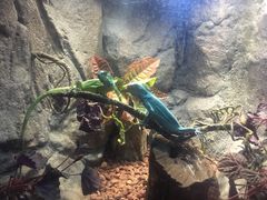 -成都浩海立方海洋公园