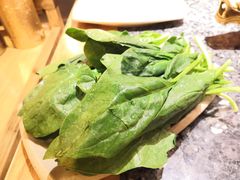 菠菜-蜀大侠火锅(四川北路店)