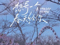 -顾村公园