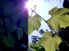 -驿舍·民國老营房院子私房菜(科学会堂店)